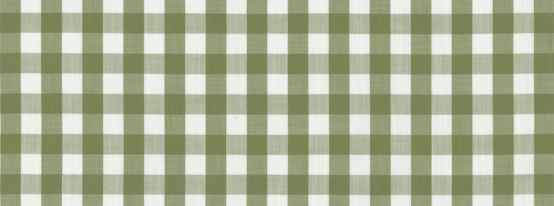 Dublin 216 Willow by Covington Designer Fabric