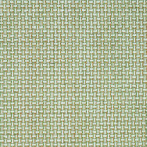 Dumont Green Tea by Norbar Designer Fabric | DUMONT GREEN TEA | 100% POLYESTER | 54" | 3/8"V 3/8"H | India