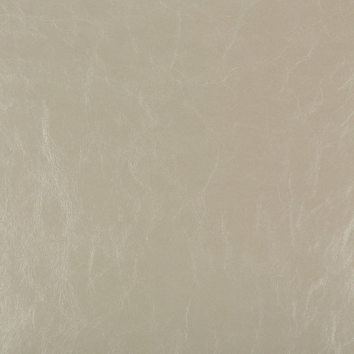 Duncan-1116 by Kravet Design Designer Fabric POLY VINYL CHLORIDE - 100% Taiwan HEAVY Horizontal: 0 and Vertical: 0 54 - Swanky Fabrics -