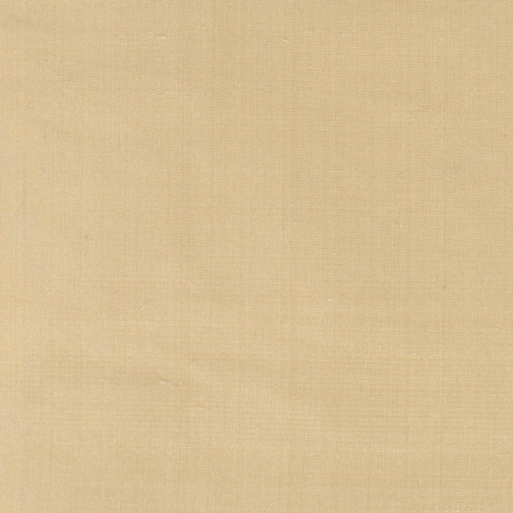 Dupioni 17 Chamois by Stout Fabric Stout Fabric Dupioni 17 ChamoisFabric DUPIONI SILK INDIA </p><p>Repeat: H: 0.000, V: 0.000 54 in - Fabric Carolina -