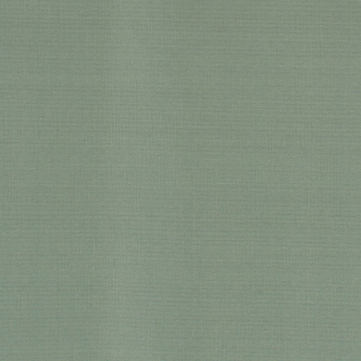 Dupioni 40 Dewkist by Stout Designer Fabric DUPIONI SILK 100%SLK INDIA WYZENBEEK 33 000 DOUBLE RUB WEAR TEST (HEAVY DUTY) FLAME RETARDANT-U.F.A.C. CLASS 1 CATB 117-2013 Horizontal: 0.000 and Vertical: 0.000 54 in - Swanky Fabrics -
