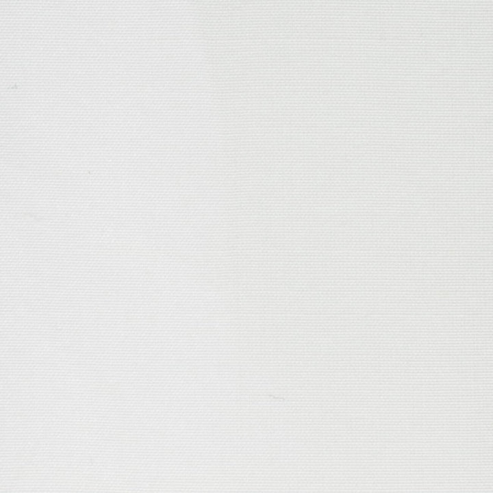 Dupioni 5 Snow by Stout Designer Fabric DUPIONI SILK 100%SLK INDIA MARTINDALE WEAR TEST (45 000 CIRCULAR RUBS) Horizontal: 0.000 and Vertical: 0.000 54 in - Swanky Fabrics -