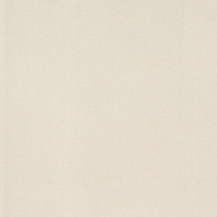 Dupioni 6 Ecru by Stout Fabric Stout Fabric Dupioni 6 EcruFabric DUPIONI SILK INDIA </p><p>Repeat: H: 0.000, V: 0.000 54 in - Fabric Carolina -