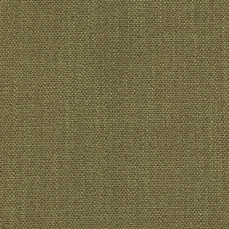 Dupree Fern by Magnolia Designer Fabric - 100% Poly China 60000 Horizontal: 0 and Vertical: 0 55" - Swanky Fabrics -