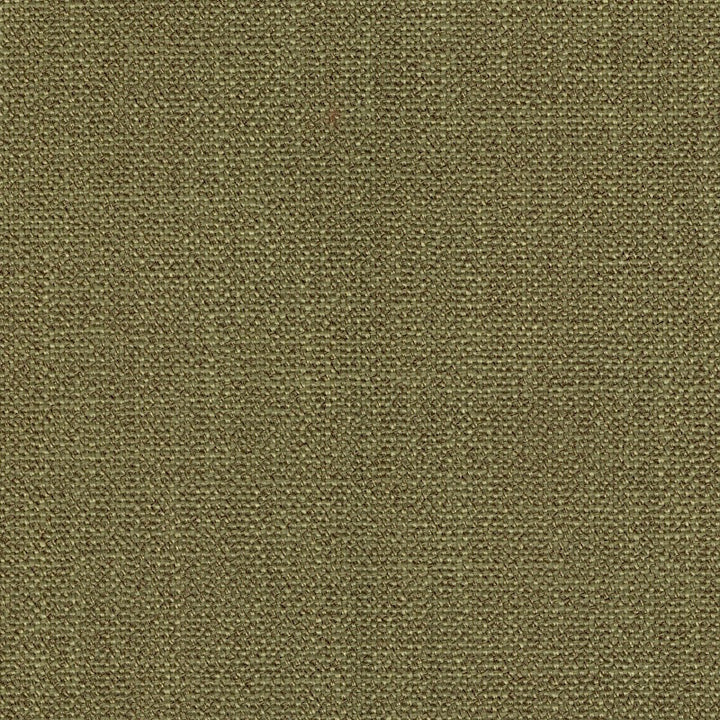 Dupree Fern by Magnolia Designer Fabric - 100% Poly China 60000 Horizontal: 0 and Vertical: 0 55" - Swanky Fabrics -