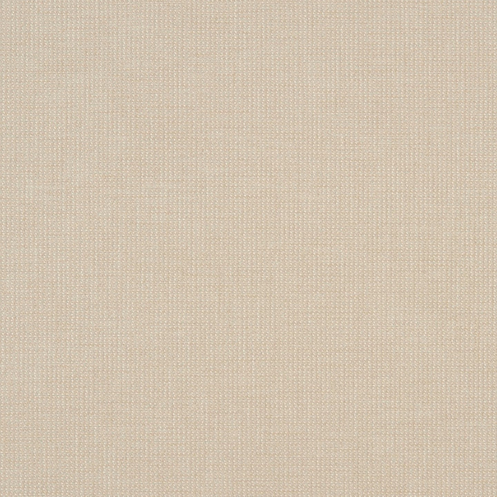 Dustin 92J7031 by JF Crypton Designer Fabric Crypton Binder 100% Polyester United States 50000 Horizontal: and Vertical: 54 - Swanky Fabrics -