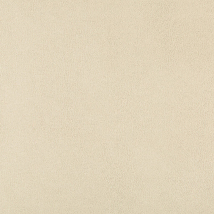 Dust-116 by Kravet Design Designer Fabric POLYURETHANE - 100% China HEAVY Horizontal: and Vertical: 54 - Swanky Fabrics -