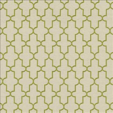 Dellis Grass by Kasmir Designer Fabric