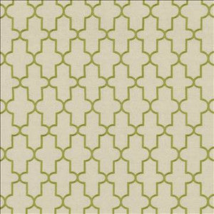 Dellis Grass by Kasmir Designer Fabric