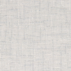 Duplin Iceberg by Bella-Dura Designer Fabric