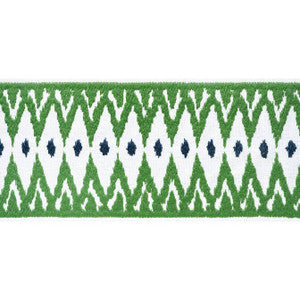 Delmont Tape Kelly E12050 by Thibaut Designer Fabric