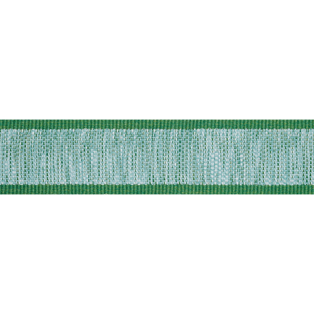 FISHER TAPE Kelly E12402 by Thibaut Designer Trim