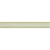 Westport Tape Spring Green E81837 by Thibaut Designer Fabric