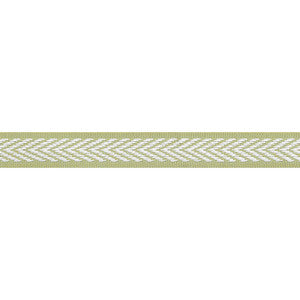 Westport Tape Spring Green E81837 by Thibaut Designer Fabric