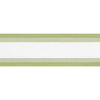 Nordia Tape Spring Green E81850 by Thibaut Designer Trim