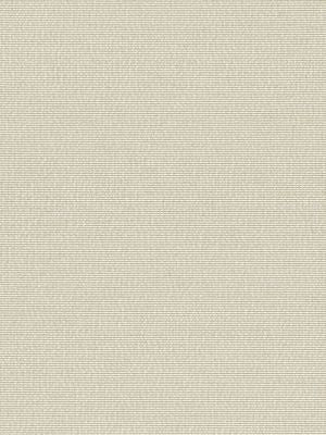Arena Beach Sand EA60030003 by Old World Weavers Designer Fabric ELEMENTS VI 100% SOLUTION DYED POLYPROPYLENE ITALY MEDIUM DUTY Horizontal: 0" and Vertical: 0" 55 - Swanky Fabrics -