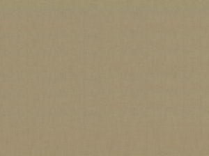 Ebbtide Latte 199 by Norbar Designer Fabric