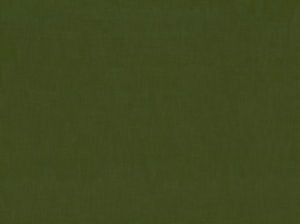 Ebbtide Olive 25 by Norbar Designer Fabric