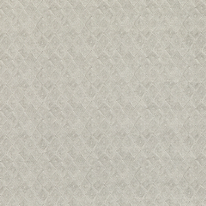 Boundary Dove by Threads Designer Fabric NALA PRINTS COTTON - 60%;LINEN - 40% India - Horizontal: 6.698 and Vertical: 7.092 53.584 - Swanky Fabrics -