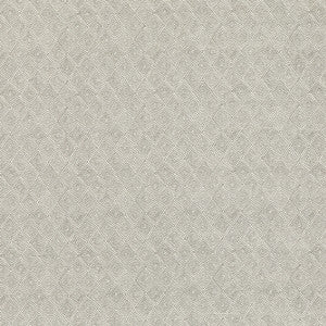 Boundary Dove by Threads Designer Fabric