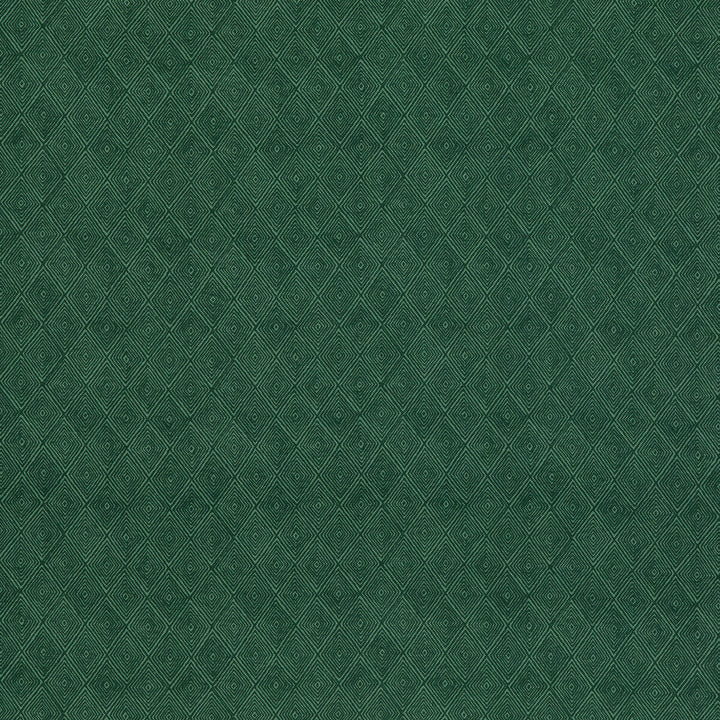 Boundary Emerald by Threads Fabric Threads Fabric Boundary EmeraldFabric NALA PRINTS COTTON - 60%;LINEN - 40% India </p><p>Repeat: H: 6.698, V: 7.092 53.584 - Fabric Carolina -