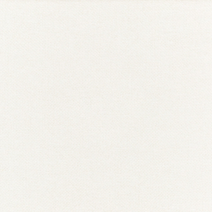 Cami Ivory by Threads Designer Fabric ODYSSEY VISCOSE - 65%;COTTON - 35% Italy HEAVY Horizontal: and Vertical: 53.978 - Swanky Fabrics -