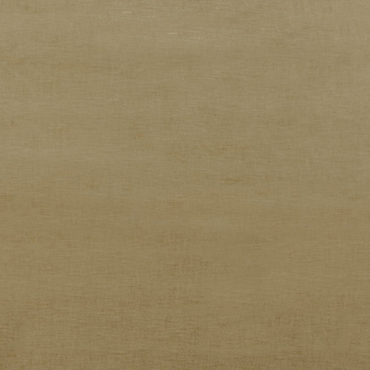 Meridian Velvet Camel by Threads Designer Fabric MERIDIAN VISCOSE - 51%;COTTON - 40%;POLYESTER - 9% Italy HEAVY Horizontal: - and Vertical: - 55.16 - Swanky Fabrics -