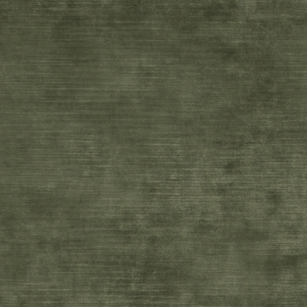 Meridian Velvet Fern by Threads Designer Fabric MERIDIAN VISCOSE - 51%;COTTON - 40%;POLYESTER - 9% Italy HEAVY Horizontal: and Vertical: 55.16 - Swanky Fabrics -