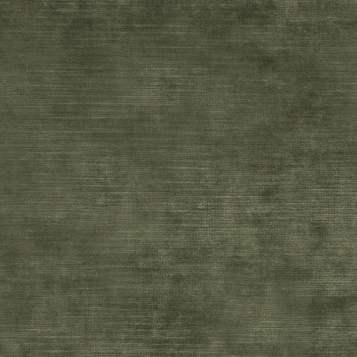 Meridian Velvet Fern by Threads Designer Fabric MERIDIAN VISCOSE - 51%;COTTON - 40%;POLYESTER - 9% Italy HEAVY Horizontal: and Vertical: 55.16 - Swanky Fabrics -