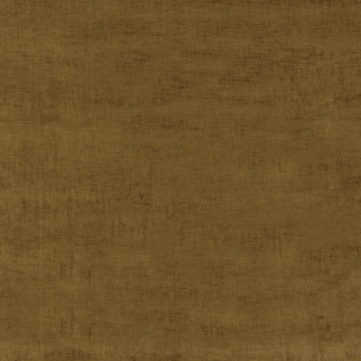 Meridian Velvet Bronze by Threads Fabric Threads Fabric Meridian Velvet BronzeFabric MERIDIAN VISCOSE - 51%;COTTON - 40%;POLYESTER - 9% Italy </p><p>Repeat: H: , V: 55.16 - Fabric Carolina -
