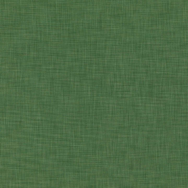 Kalahari Green by Threads Designer Fabric ESSENTIAL WEAVES COTTON - 76%;POLYESTER - 24% Italy Horizontal: and Vertical: 53.978 - Swanky Fabrics -