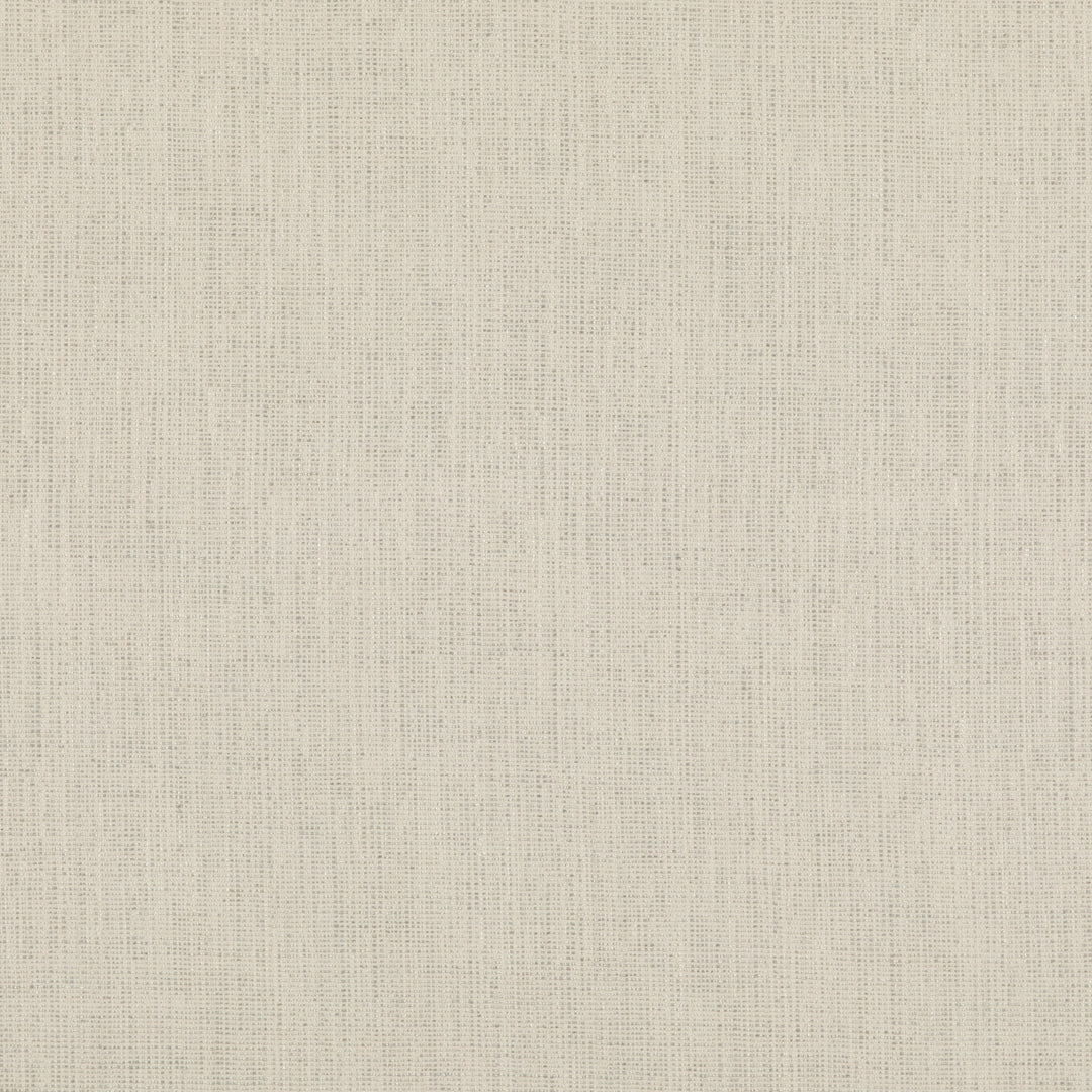 Clarity - Ivory ED85417.104.0 by Threads Designer Fabric