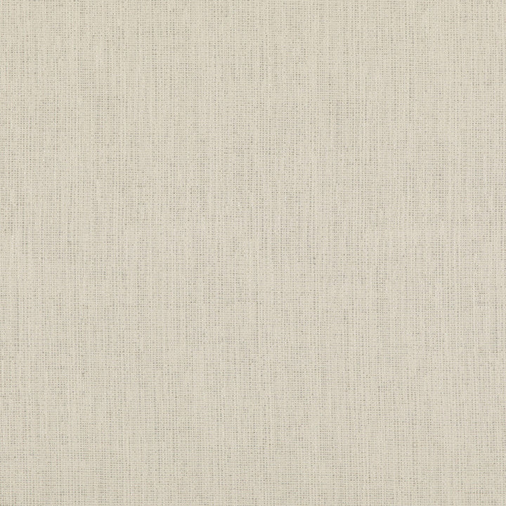 Stipple Ivory by Threads Designer Fabric LUXURY WEAVES II VISCOSE - 51%;LINEN - 24%;COTTON - 17%;POLYCOTTON - 6%;POLYESTER - 2% Italy Horizontal: and Vertical: 55.16 - Swanky Fabrics -