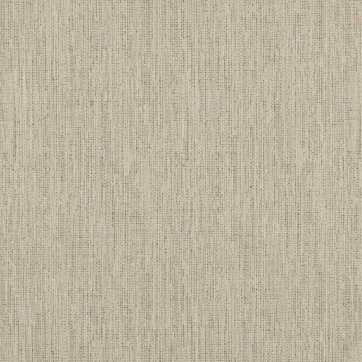 Stipple Dove by Threads Designer Fabric LUXURY WEAVES II VISCOSE - 51%;LINEN - 24%;COTTON - 17%;POLYCOTTON - 6%;POLYESTER - 2% Italy Horizontal: and Vertical: 55.16 - Swanky Fabrics -
