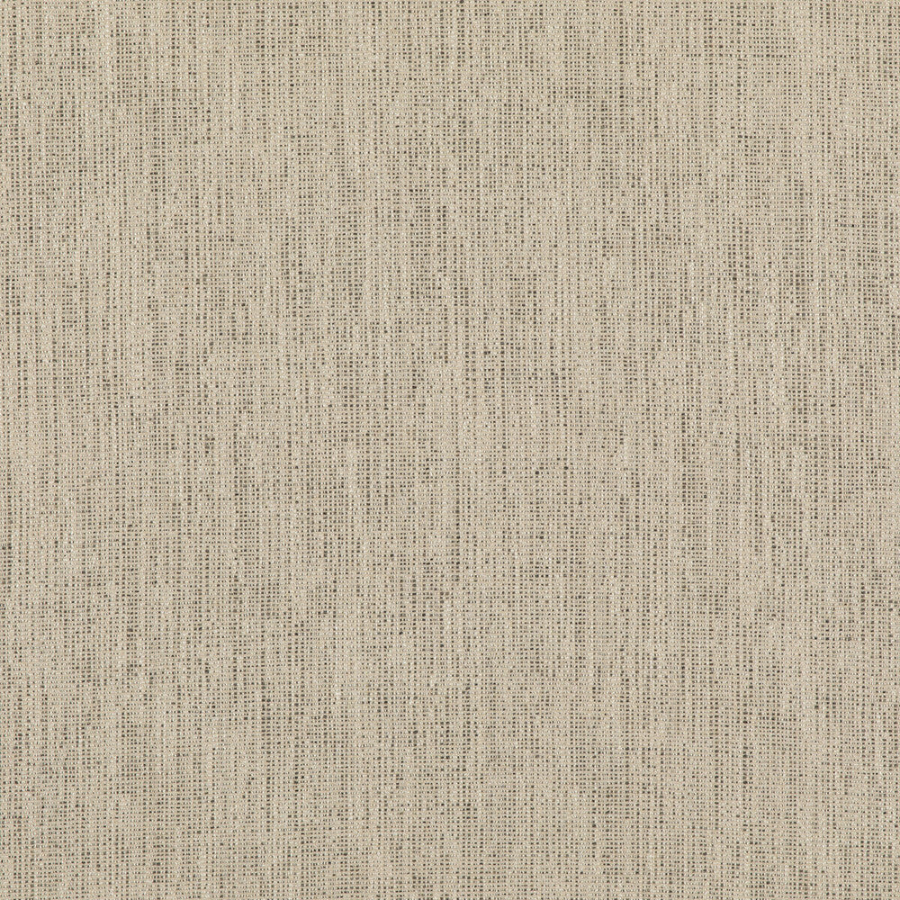 Stipple Charcoal by Threads Designer Fabric LUXURY WEAVES II VISCOSE - 51%;LINEN - 24%;COTTON - 17%;POLYCOTTON - 6%;POLYESTER - 2% Italy Horizontal: and Vertical: 55.16 - Swanky Fabrics -