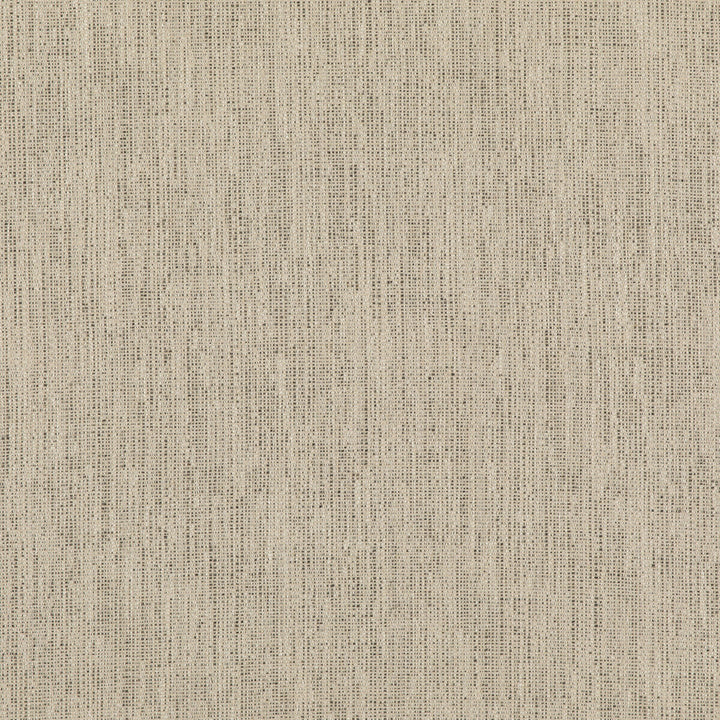 Stipple Charcoal by Threads Designer Fabric LUXURY WEAVES II VISCOSE - 51%;LINEN - 24%;COTTON - 17%;POLYCOTTON - 6%;POLYESTER - 2% Italy Horizontal: and Vertical: 55.16 - Swanky Fabrics -