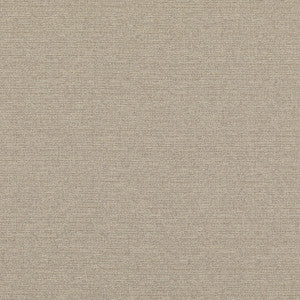 Bara Ivory by Threads Designer Fabric