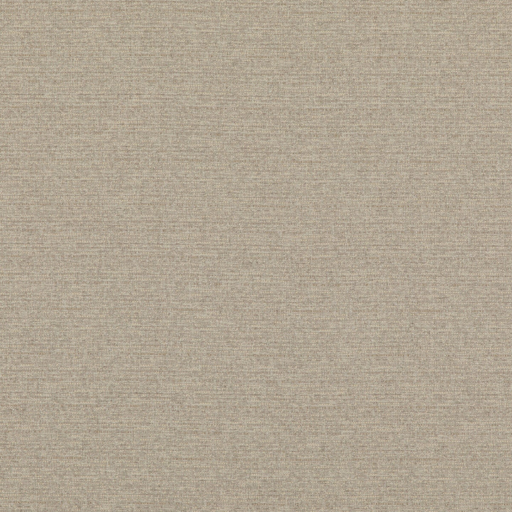 Bara Ivory by Threads Designer Fabric LUXURY WEAVES II VISCOSE - 39%;COTTON - 25%;LINEN - 17%;POLYESTER - 17%;POLYCOTTON - 2% Italy Horizontal: and Vertical: 53.978 - Swanky Fabrics -