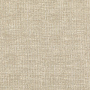 Umbra Ivory by Threads Designer Fabric