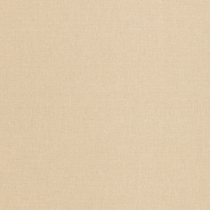 Nala Linen Putty by Threads Designer Fabric