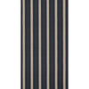 Pamir Stripe Ebony ED85341.955.0 By Threads Designer Fabric