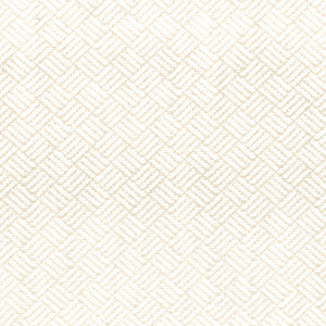 Eddystone 2 Sand by Stout Designer Fabric