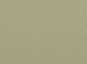 Eddy Bone 120 by Norbar Designer Fabric