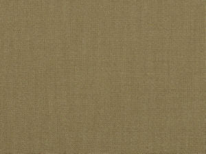 Eddy Wheat 108 by Norbar Designer Fabric