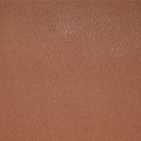 Esprit # 011 Blush by Maxwell Designer Fabric Vinyls Ii - Contract 100% PVC BACKING-100% POLYESTER CHINA 54" - Swanky Fabrics -