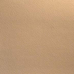 Esprit # 061 Shell by Maxwell Designer Fabric