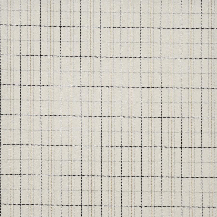 Earl Grey # 640 Highlands by Maxwell Designer Fabric Performance Wovens-Vol.Iv Smokeshow 100% POLYESTER TURKEY V-2"H-1" 54" - Swanky Fabrics -