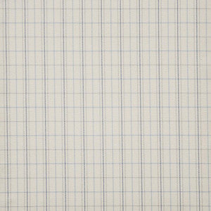 Earl Grey # 907 Rain by Maxwell Designer Fabric