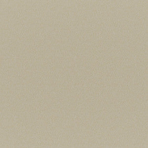 Ersa # 312 Sponge by Maxwell Designer Fabric