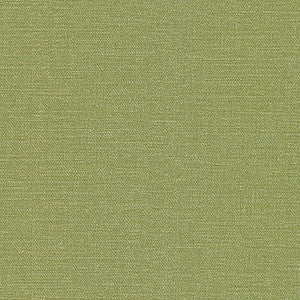 Equilibrium-Nj # 231 Grass by Maxwell Designer Fabric